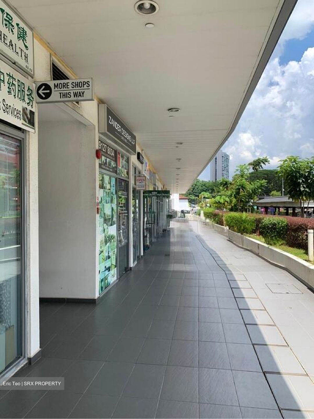 Suites @ Bukit Timah (D21), Shop House #506344981